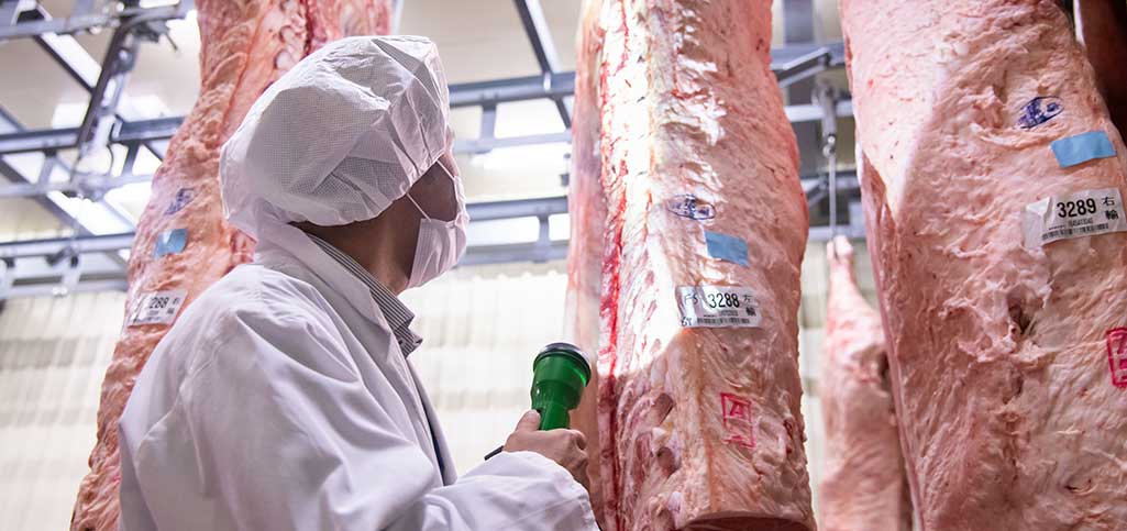国内食肉卸売事業